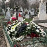 cum se va imparti averea rodicai stanoiu la cine ajung vilele 69453e85b3fb7