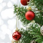 de unde a aparut originea bradului de craciun 6932a2766f82c