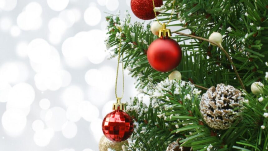 de unde a aparut originea bradului de craciun 6932a2766f82c