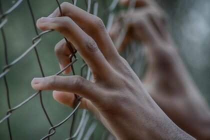 detinutul evadat de la penitenciarul poarta alba capturat la murfatlar si reincarcerat ce risca barbatul 6944f12a38b3f