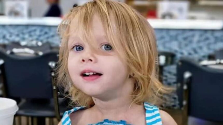 doi parinti sunt acuzati de moartea fiicei lor micuta de doi ani a fost sfasiata de cainele familiei 693c5809c66e9