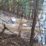 drona din arges si razboiul din ucraina ce spune sindicatul europol despre legatura dintre cele doua 694801acbc75c