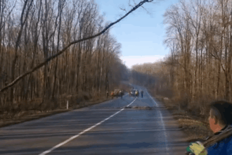 drum national din iasi blocat de arborii doborati drdp intervine pentru siguranta soferilor video 693acf7e3b0f4
