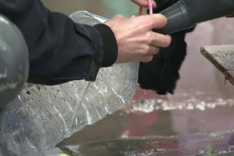 dupa o saptamana dsp prahova confirma ca apa de la statia voila este sigura pentru consum ce urmeaza 69359884604e0