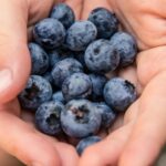 fructele care imbunatatesc vederea ajuta la cresterea acuitatii vizuale 693953bcd4de1