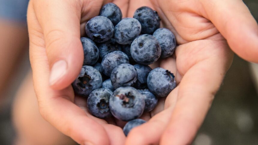 fructele care imbunatatesc vederea ajuta la cresterea acuitatii vizuale 693953bcd4de1