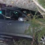 furtuna a facut ravagii pe valea prahovei copaci smulsi de vant la sinaia si un autoturism avariat 694edc2b15f1b