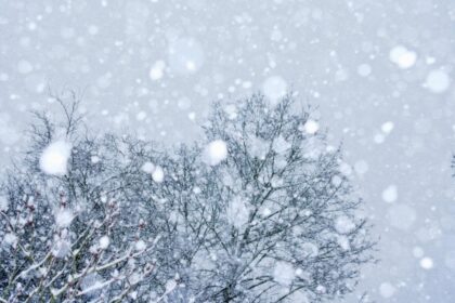 ianuarie incepe cu frig temperaturi sub normalul perioadei si precipitatii pana pe 19 ianuarie 694a3b6c50b05