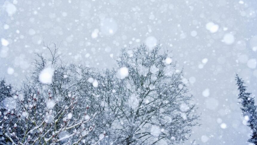 ianuarie incepe cu frig temperaturi sub normalul perioadei si precipitatii pana pe 19 ianuarie 694a3b6c50b05