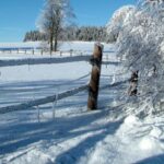 iarna blanda in romania valori termice peste normal cum vor arata primele zile din ianuarie 6932877b24dec