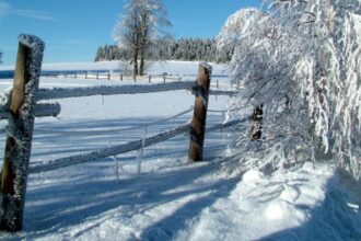 iarna blanda in romania valori termice peste normal cum vor arata primele zile din ianuarie 6932877b24dec