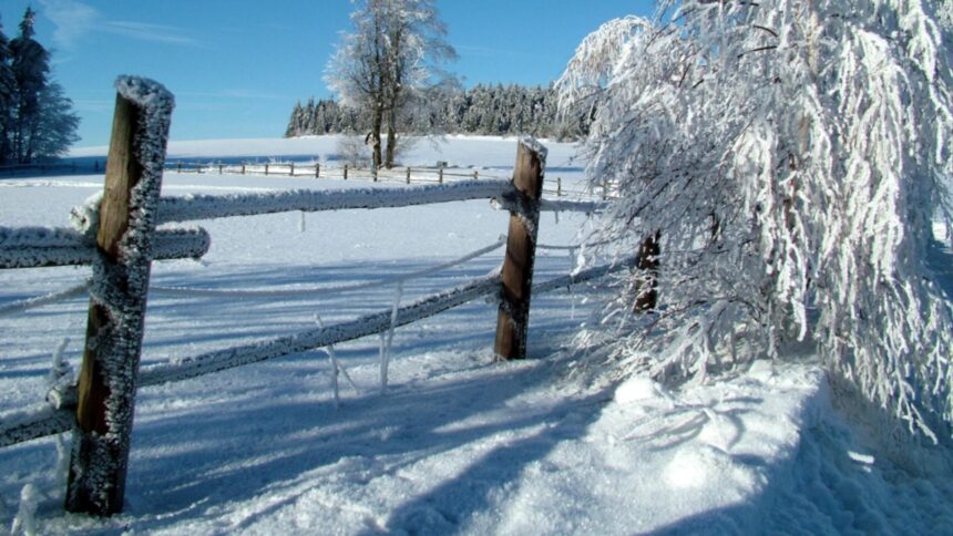 iarna blanda in romania valori termice peste normal cum vor arata primele zile din ianuarie 6932877b24dec