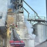 incendiu devastator in tulcea aproape 15 tone de floarea soarelui s au facut scrum in satul enisala video 69301a33b1242