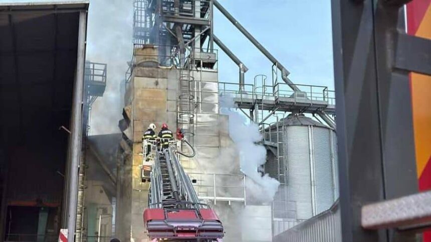 incendiu devastator in tulcea aproape 15 tone de floarea soarelui s au facut scrum in satul enisala video 69301a33b1242