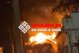 incendiu puternic in caras severin izbucnit din cauza scanteilor de la un cos de fum au fost afectate patru case 6933dff5df011