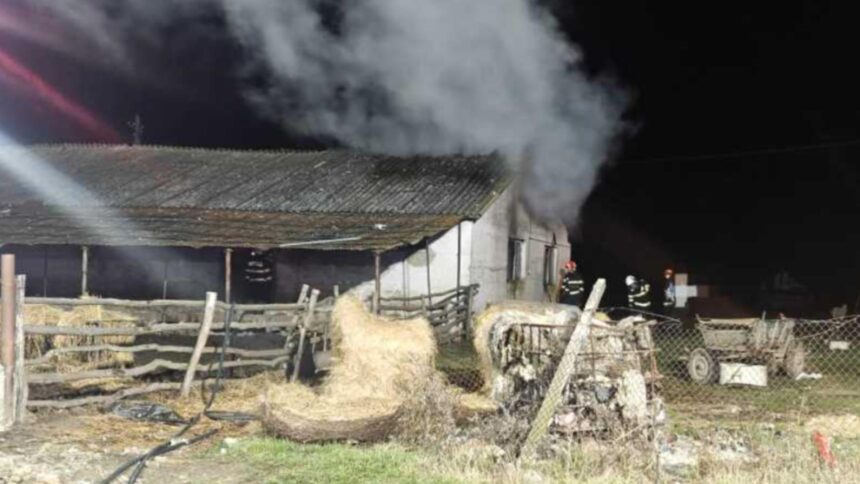 incendiu suspect la o ferma din satu mare anchetatorii iau in considerare ca femeia sa fi fost incendiata de iubit 694bac8a434c2
