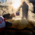 incident grav la taierea porcului un barbat si a injunghiat partenerul de pahar 6942c42521907