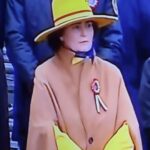 judecatoarea scantei pata galbena de la parada de 1 decembrie tinuta scandaloasa care a sfidat protocolul 692daae53163a