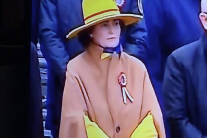 judecatoarea scantei pata galbena de la parada de 1 decembrie tinuta scandaloasa care a sfidat protocolul 692daae53163a