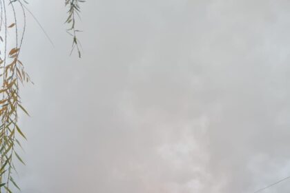 locuinta cuprinsa de flacari in comuna tibanesti 6935a7743ad7e