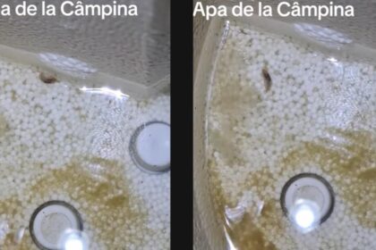 locuitorii din campina se trezesc cu vietuitoare ciudate in apa de la robinet video 6935989775f2c