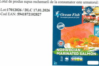 lot de file de somon marinat retras din magazine dupa depistarea bacteriei listeria monocytogenes 692de7c3bd7a7