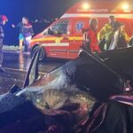 mai stabileste modul in care familiile vor fi informate despre victimele accidentelor rutiere 6932b60be1578