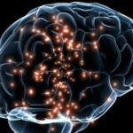 o mutatie genetica extrem de rara ucide celulele creierului iar cercetatorii au aflat in sfarsit de ce 694e842a8b020