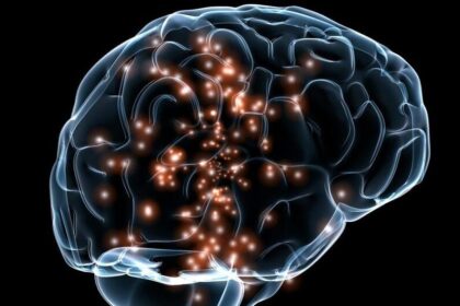 o mutatie genetica extrem de rara ucide celulele creierului iar cercetatorii au aflat in sfarsit de ce 694e842a8b020