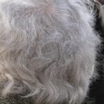 o pensionara a murit in timp ce astepta dupa acte batrana de 84 de ani avea nevoie de o adeverinta 694144e0ecd3b