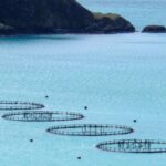 o tara din europa recruteaza masiv angajati fara experienta salarii de peste 3 000 de euro pentru munca in fermele de somon 692dc98748d8e