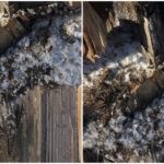 panica intr o gospodarie din judetul neamt proiectil din al doilea razboi mondial descoperit de un barbat care taia lemne de foc 69538c2cdb18f