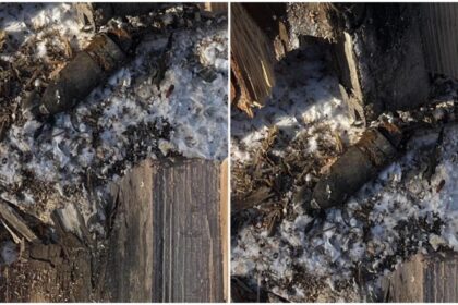 panica intr o gospodarie din judetul neamt proiectil din al doilea razboi mondial descoperit de un barbat care taia lemne de foc 69538c2cdb18f