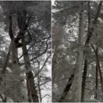 pericol urias pe traseele montane avertisemntul salvamontistilor pentru turisti video 69526022ea675