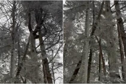 pericol urias pe traseele montane avertisemntul salvamontistilor pentru turisti video 69526022ea675