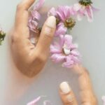 plantele care alunga oboseala si stresul cum le poti folosi in momentele de epuizare pentru a te revigora 6941331a7d69c