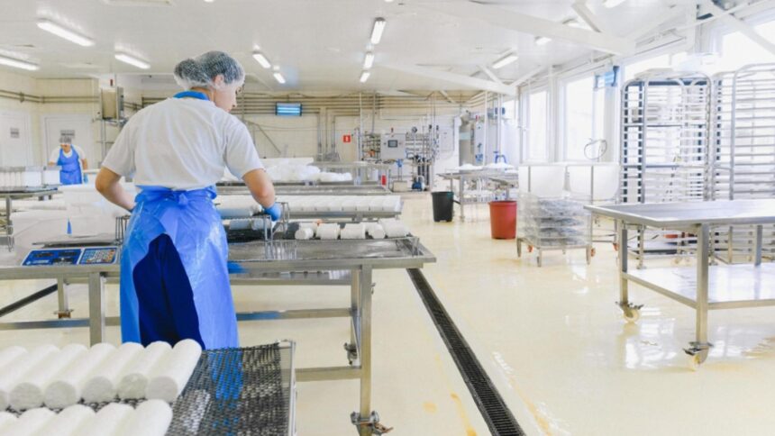 polonia domina industria alimentara din europa centrala si de est romania iese din topul marilor producatori 69414150c2cfc