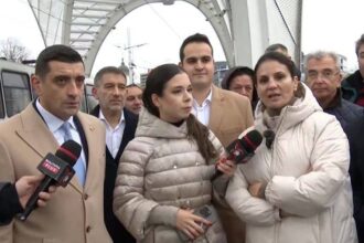 presshub averea afacerile si firmele inactive din jurul ancai alexandrescu 69308ac532958