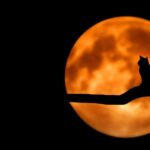 ritualuri la luna plina din data de 4 decembrie te ajuta la indeplinirea dorintelor 693152244e4f8