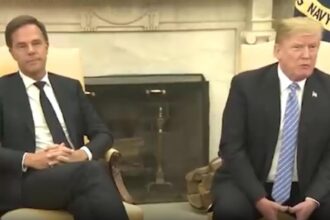 seful nato vrea ca ue sa depinda in continuare de sua trump cere ue sa nu depinda de armata sua 694fb1b6da205