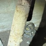 serpi de aproximativ 15 metri descoperiti in beciul unei gospodarii din tulcea au intervenit jandarmii 6936921c1e688