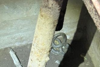 serpi de aproximativ 15 metri descoperiti in beciul unei gospodarii din tulcea au intervenit jandarmii 6936921c1e688