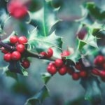 simboluri cu energie pozitiva ce sa pastrezi in locuinta pentru un an nou plin de belsug 6953e793c4248