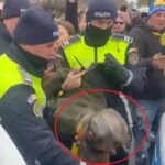 stegarul dac saltat de politisti si jandarmi si bagat in masina de politie imagini halucinante video 6937e18abd8f9