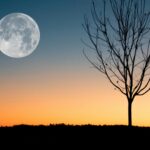 super luna rece din 4 decembrie 2025 ce se va intampla din punct de vedere astral pentru fiecare zodie in parte 693029aff245f