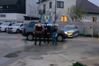 tanar de 17 ani retinut dupa ce a distrus 27 de masini intr o noapte la targu jiu 6936a1855bc6a