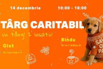 targ caritabil organizat de asociatia save our paws o singura misiune sa salvam impreuna cat mai multe suflete 693e615c8b318
