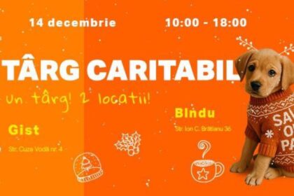 targ caritabil organizat de asociatia save our paws o singura misiune sa salvam impreuna cat mai multe suflete 693e615c8b318