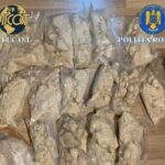 timisorean arestat preventiv pentreu trafic de droguri de mare risc peste 11 kilograme de substante gasite la perchezitii video 693016a8ccd54