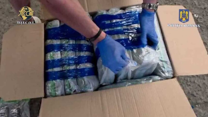 traficant international de droguri retinut dupa ce a fost prins in flagrant cu doua kilograme de canabis primit din sua 694acc94435ab